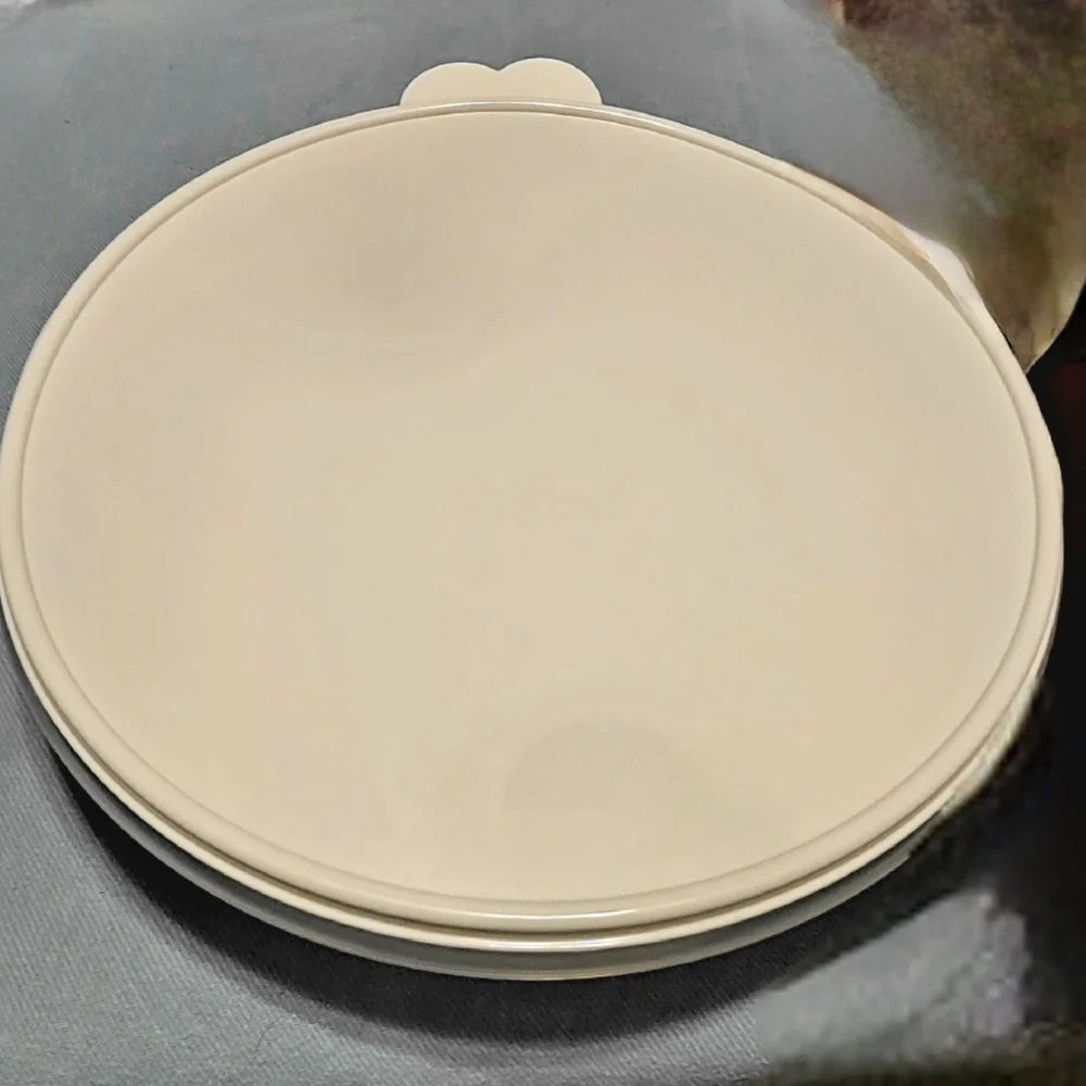 Tupperware Large Round Container Klien Blue